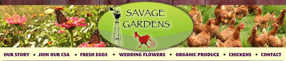 Savage Gardens